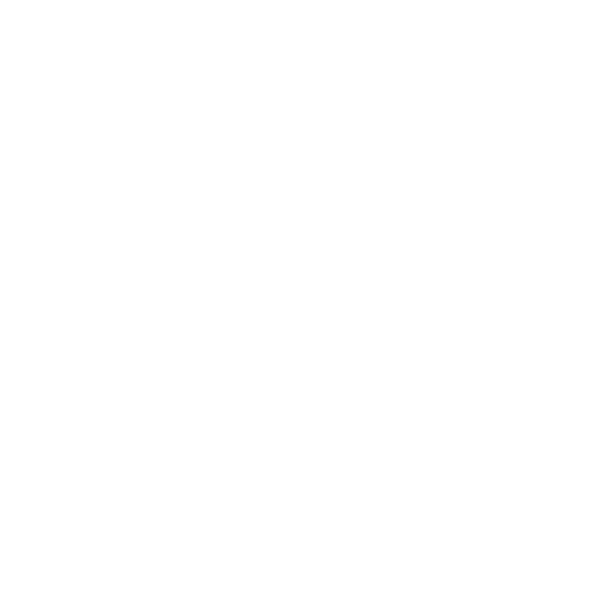 Logo Saint Mart' Sous Pression